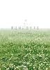 �ͤ�������򤹤� �ץ�ߥ��ࡦ���ǥ������ [DVD]