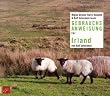 Irland-Eine Gebrauchsanweisung