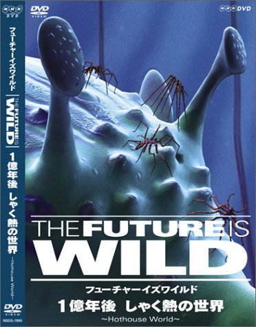 �t���[�`���[�C�Y���C���h 1���N�� ���Ⴍ�M�̐��E [DVD]