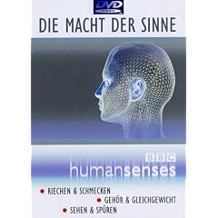 Die Macht der Sinne