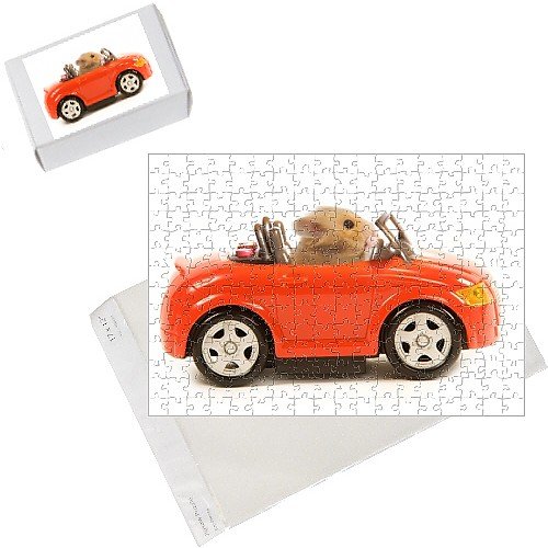 Jigsaw Puzzles Of Hamster Driving Miniature Sports Convertible Car From Ardea Picture
