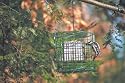 Hanging Suet Haven Feeder, Green