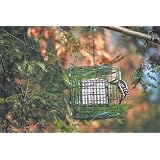 Hanging Suet Haven Feeder, Green
