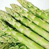 北海道のアスパラ（グリーン2Ｌサイズ）計１ｋg、予約販売、5月中旬～ご注文順にお届け