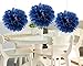 HEARTFEEL 8pcs Big Size Navy Blue Tissue Paper Pom-poms 14inch 12inch Paper Flower Ball Hanging Pom for Wedding Party Outdoor Decoration Wedding Nursery Decorations Bridal Shower Party Room Decor