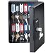 SentrySafe KB25 KeyBox with 25 Key Hangers, Black