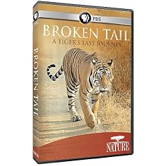 Nature: Broken Tail: A Tiger's Last Journey [DVD] [Region 1] [US Import] [NTSC]