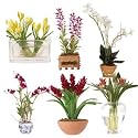 New Nearly Natural Miniature Arrangements Assortment 2 Perfect Brilliant Color Realistic Look Feel