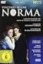 Bellini: Norma