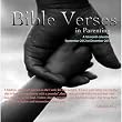 Bible Verses in Parenting 2013 Wall Calendar