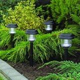 Multi Solar Garden Accent Lights - Ten Pack