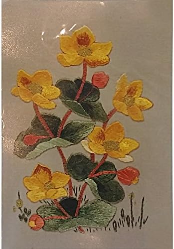 Marsh Marigold Embroidery Kit Vintage Saskie Designs
