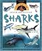 Question Time: Sharks (Question Time) by Stephen P. Savage ISBN 0753454416