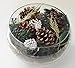 Forest PINE Potpourri ~A compelling powerful clean scent of fresh Forest Pine Potpourri with the underpinnings of Glistening Evergreen and Cedar wood ~12oz ~Includes REFRESHER OIL~