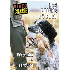 Les chiens d'arr�t