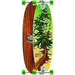 Arbor Zeppelin Complete Skateboard w/ Free B&F Heart Sticker Bundle