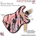 Zebra Stripes Pink WraptorSkinz Skin fits Rock Band Stratocaster Guitar for Nintendo Wii, XBOX 360, PS2 & PS3 (GUITAR NOT INCLUDED)