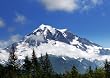 14,410-ft. Mount Rainier from the Northwest - Iconic 16x20 Photographic Print by Brendan Reals