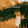 Down Incognito by キップ・ウィンガー (2003-06-20)