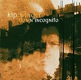 Down Incognito by キップ・ウィンガー (2003-06-20)