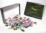 Photo Jigsaw Puzzle of BB-1434 Green / Plumed Crested basilisk - young running across water from Ardea Wildlife Pets