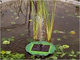 Floating Solar Pond Lily Fountain