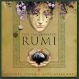 Illuminated Rumi 2009 Wall Calendar