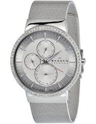 Skagen Womens 357XLSSS Quartz Stainless Silver Dial Watch