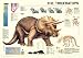 Poster The Triceratops - Rolled