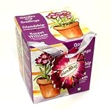 Friendship Sweet William Windowsill Garden Greetings and Gift Card