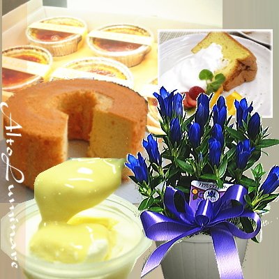 敬老の日パーティーセットとりんどうの鉢植えの豪華ギフトセット