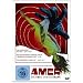 Amer