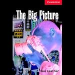The Big Picture | Sue Leather