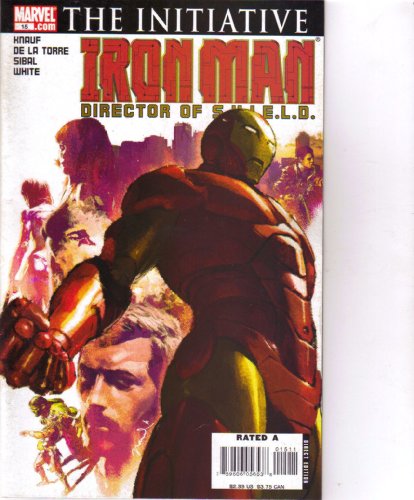 The Initiative Iron Man Director of Shield