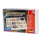 Sedimentary Rock Collection