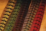 Pheasant Ringneck Tail Feather ::: Fly Tying Material