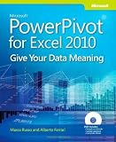 Microsoft PowerPivot for Excel 2010: Give Your Data Meaning [Paperback]
