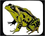 image link - - B000T6DTW6