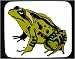 Decorated Mouse Pad with green, wart, amphibian, toad