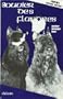The Bouvier Des Flandres