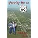 Route 66 novel series