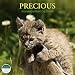 Precious 2010 Baby Animal Calendar