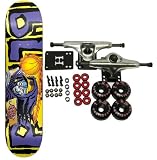 BLIND Skateboards CRAIG DUNK Complete Skateboard