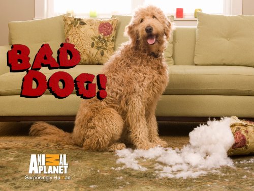 Amazon.com: Bad Dog!: Season 2, Episode 1