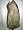 Antique Straw Green Color Jamawar India Pashmina Shawls,wrap Throw Reversible Image #2