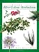 Guide to Afro-Cuban Herbalism