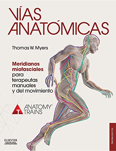 Vías anatómicas. Meridianos miofasciales para terapeutas manuales y del movimiento (Spanish Edition)