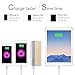 Lumsing 13000mAh Power Banks, Portable External Battery Charger for iPhone iPad Motorola Samsung Galaxy Smartphones Tablets(Golden)
