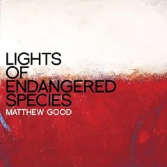 Lights of Endangered..