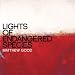 Lights of Endangered..
